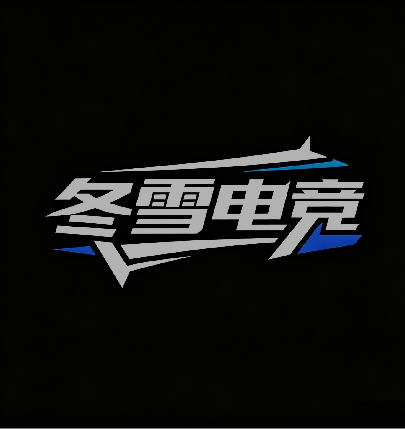 冬雪电竞·董事长